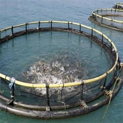 應對夏季海生物生長迅速的海洋平臺養殖網箱清洗